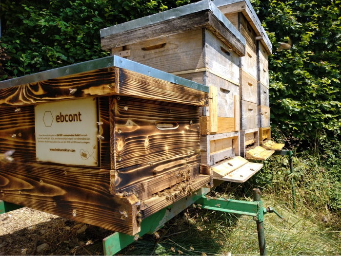 Several wooden beehives on a green metal frame stand in a natural setting with green bushes in the background. The front hive is dark flamed and bears a plaque with the EBCONT logo and a reference to the Hektar Nektar initiative's bee project. Numerous bees fly around the hives or sit on the wooden boxes. The image symbolizes the protection of bees and sustainable corporate initiatives as part of the 2028 initiative to promote beekeeping.